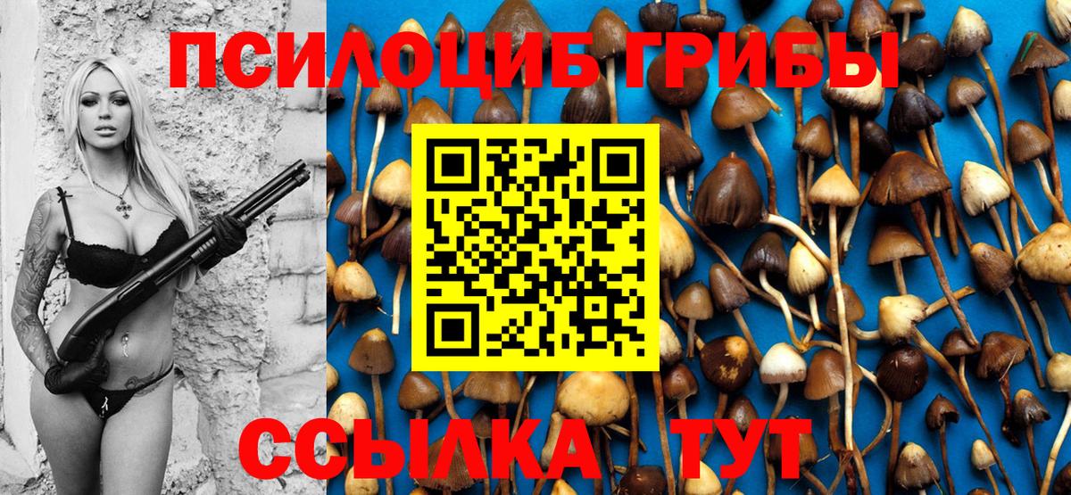 Тейково  Псилоцибиновые грибы Psilocybe  Вход с VPN  Псилоцибиновые грибы Cubensis 